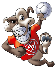 Handball