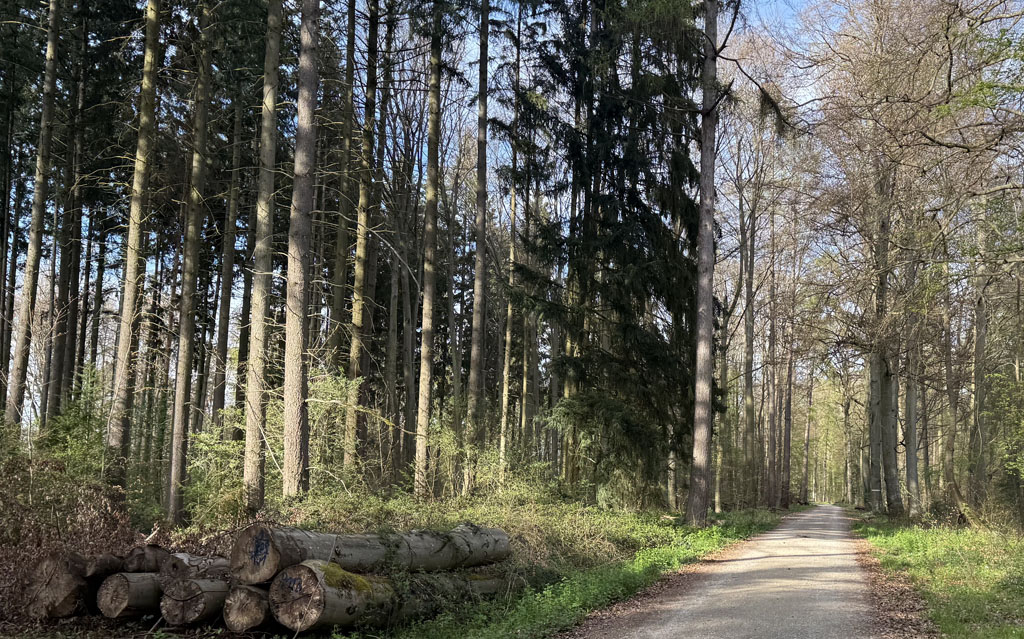 Bewegung für Körper, Geist und Seele ...